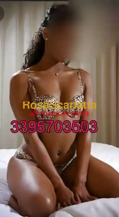 Foto 3 di New new, escort a Arzachena