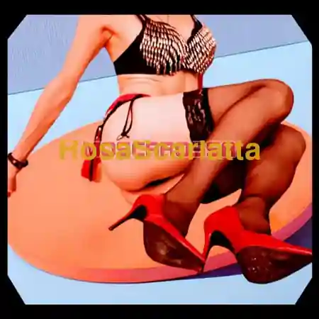 Seconda immagine della gallery