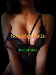 New