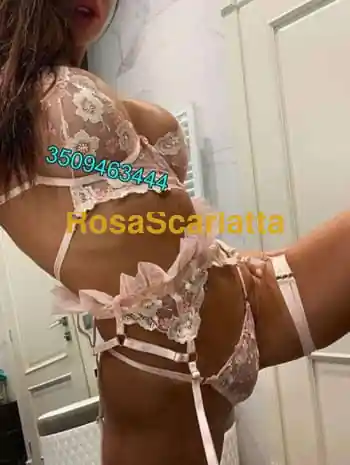 Novita