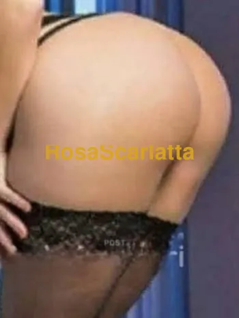 Rosy italiana