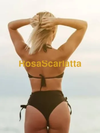 Gattina da baltico