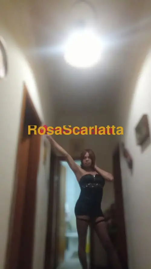 Foto 3 di Bella trans patricia, trans a Parma