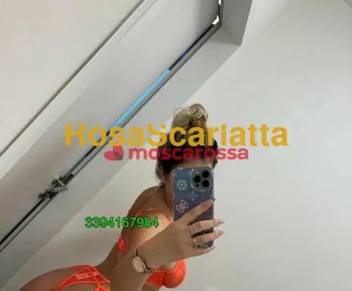 Foto 3 di New, escort a Domodossola