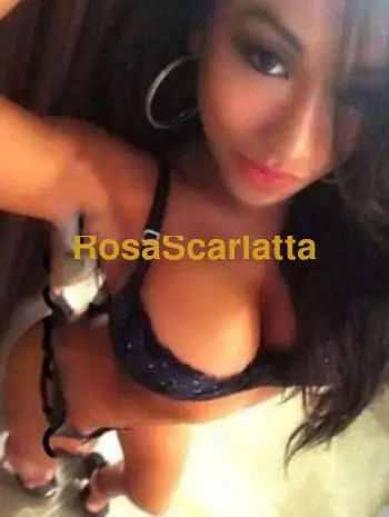 Gioia