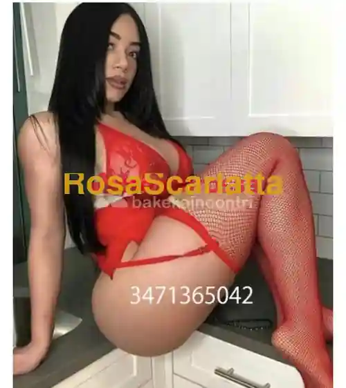 Foto 2 di Brenda, escort a Ferrara