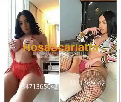 Foto 3 di Brenda, escort a Ferrara