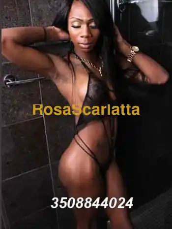 Kimberly trans