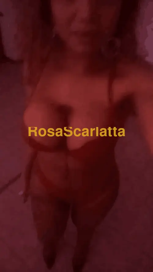 Foto 2 di Paty trans, trans a Capaccio