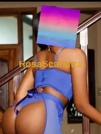 Flavia