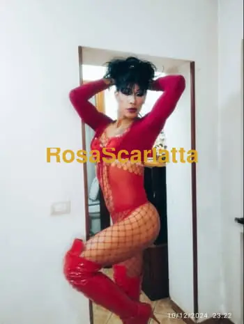 Susan aleska