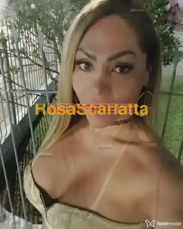 Foto 3 di trans a Torino