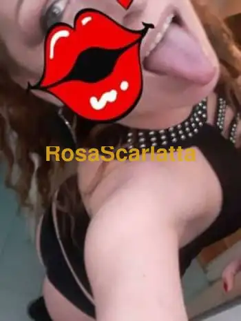 Lapamy