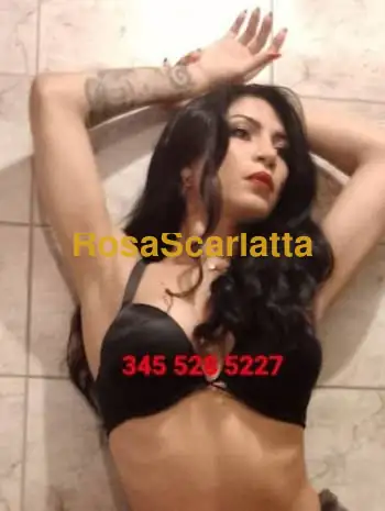 Pamela veiga