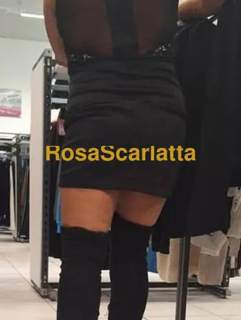 Italiana fiore veneto