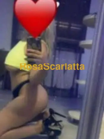 Veronica aversa - Acerra