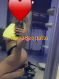 Veronica aversa