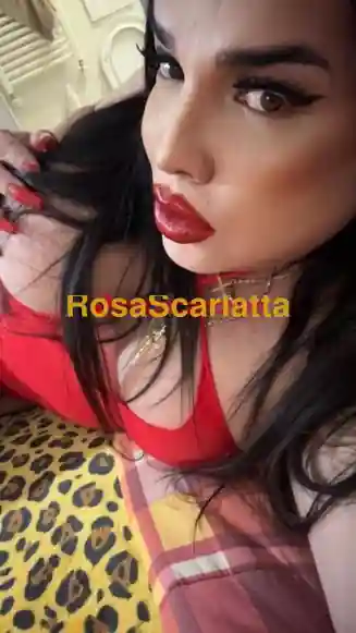 Foto 3 di Nina, trans a Bari