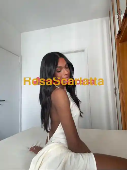 Foto 2 di Luisa macari, trans a Milano