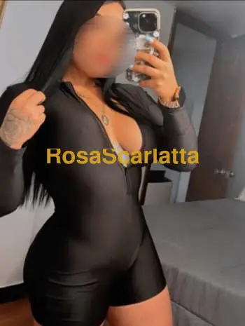 Stella