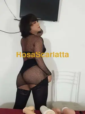 Pennelope - Trans Pinerolo