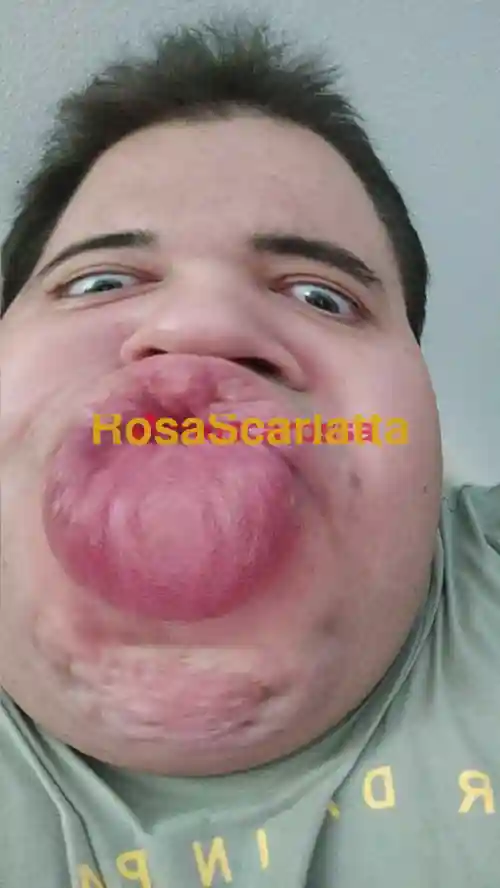 Seconda immagine della gallery