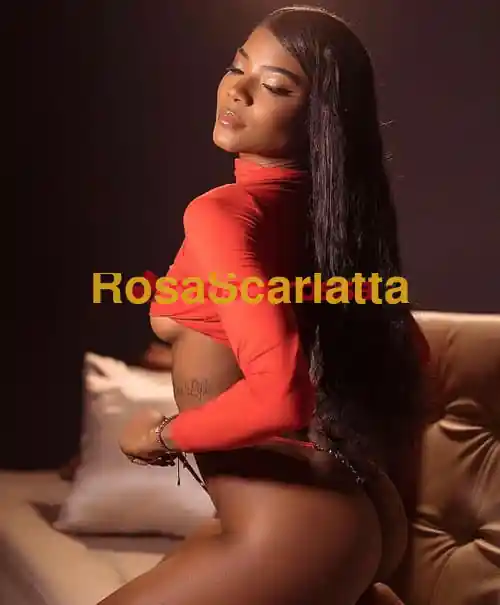 Seconda immagine della gallery