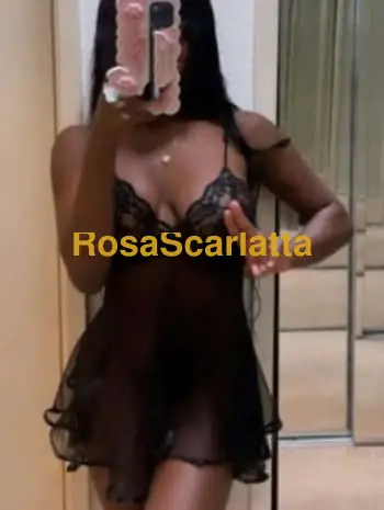 Katy
