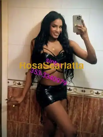 Sintya - Trans Annone Veneto