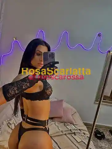 Foto 2 di Sophia, trans a Pisa