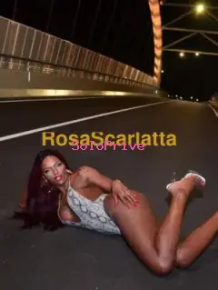 Lorena