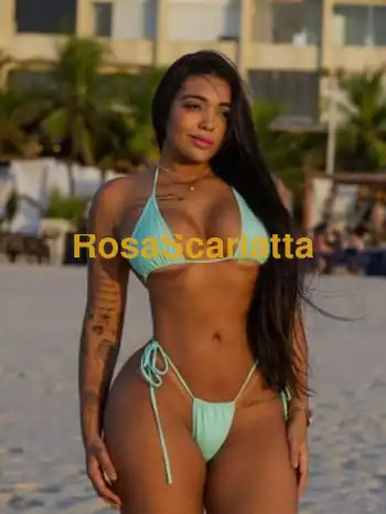 Taina brasil