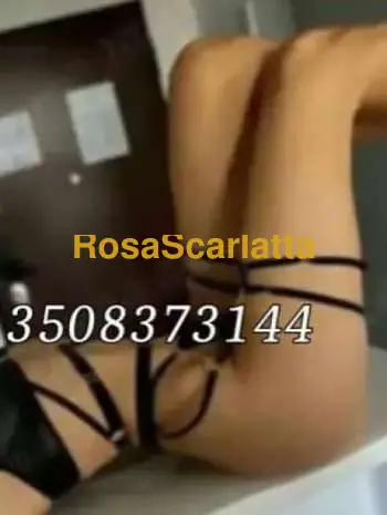 Cirina