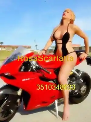 Felina big cook - Trans Varese