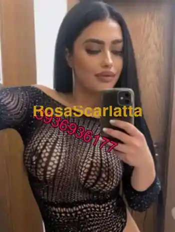 New