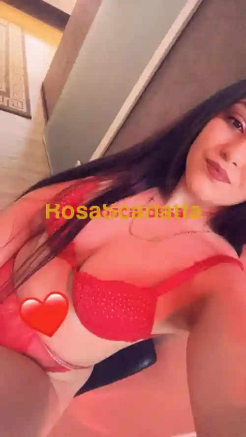 Foto 3 di Carina, escort a Torino