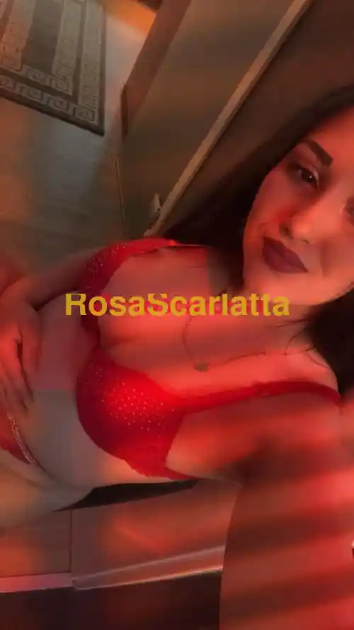 Foto 2 di Carina, escort a Torino