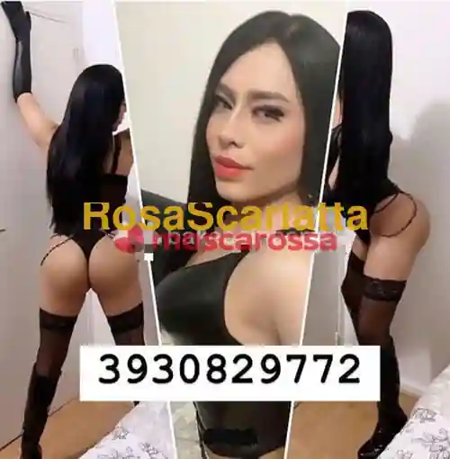 Foto 2 di Bruna, trans a Terni