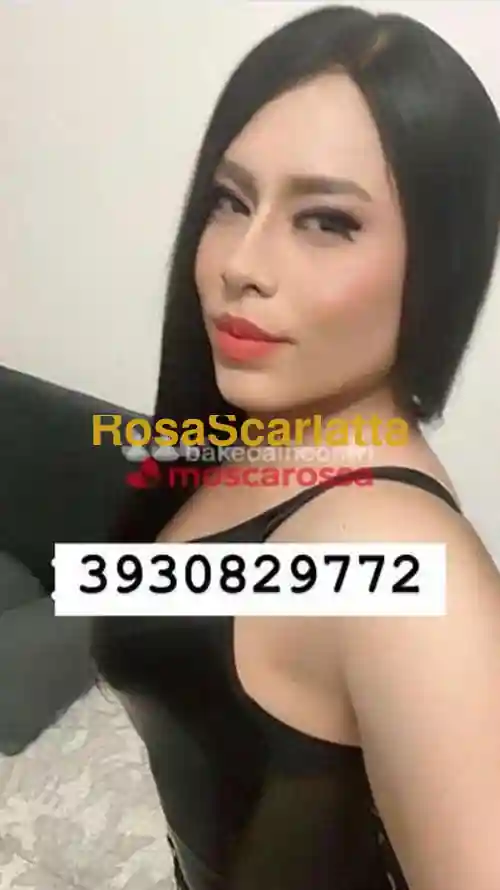 Foto 3 di Bruna, trans a Terni