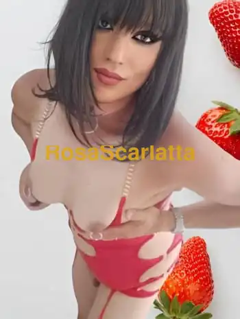Simona trans italiana