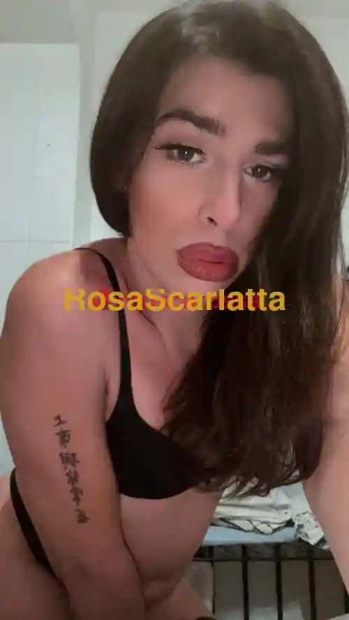 Seconda immagine della gallery