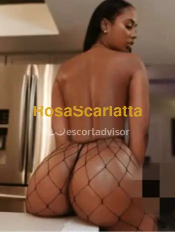 Troia