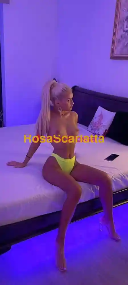 Terza immagine della gallery