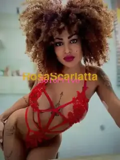 Stella