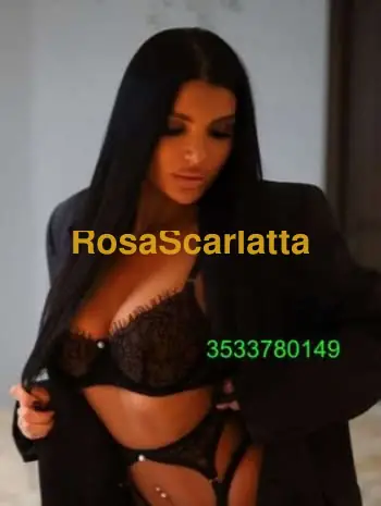 New