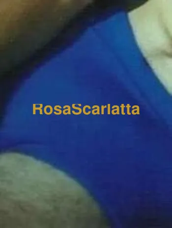 Alessandro xxl