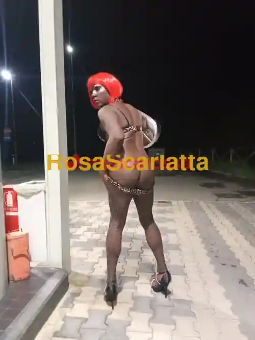 Terza immagine della gallery