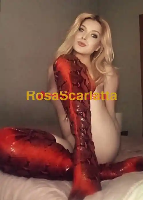 Foto 3 di Renata, trans a Torino