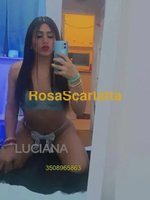 Luciana - Trans Castelfranco Veneto