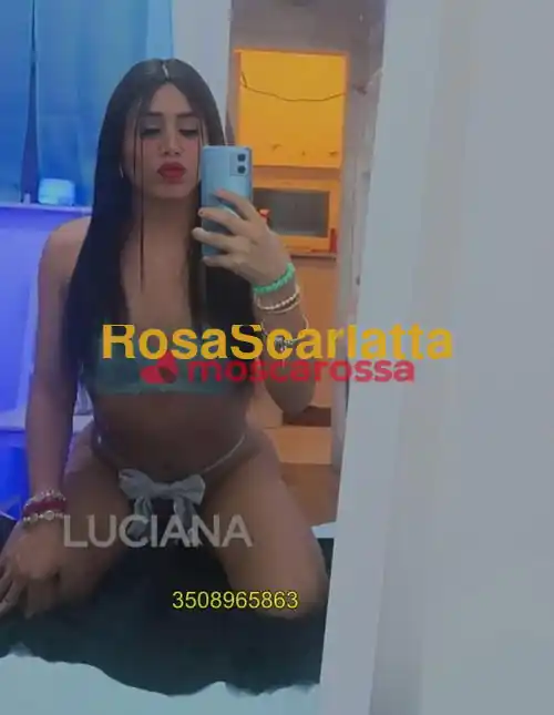 Foto 2 di Luciana, trans a Castelfranco Veneto